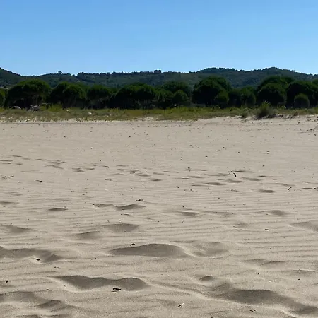 Appartamento In Primavera